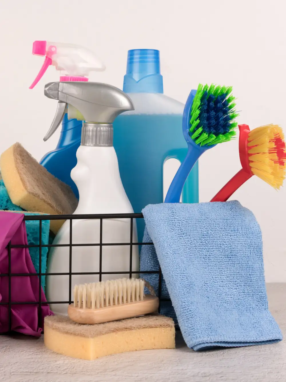 Professional Home Cleaning Services
